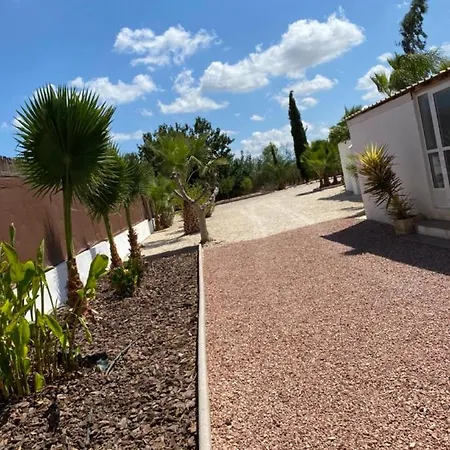 Arizona Catral