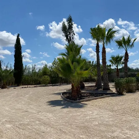 Arizona